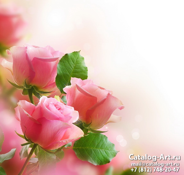 Pink roses 53